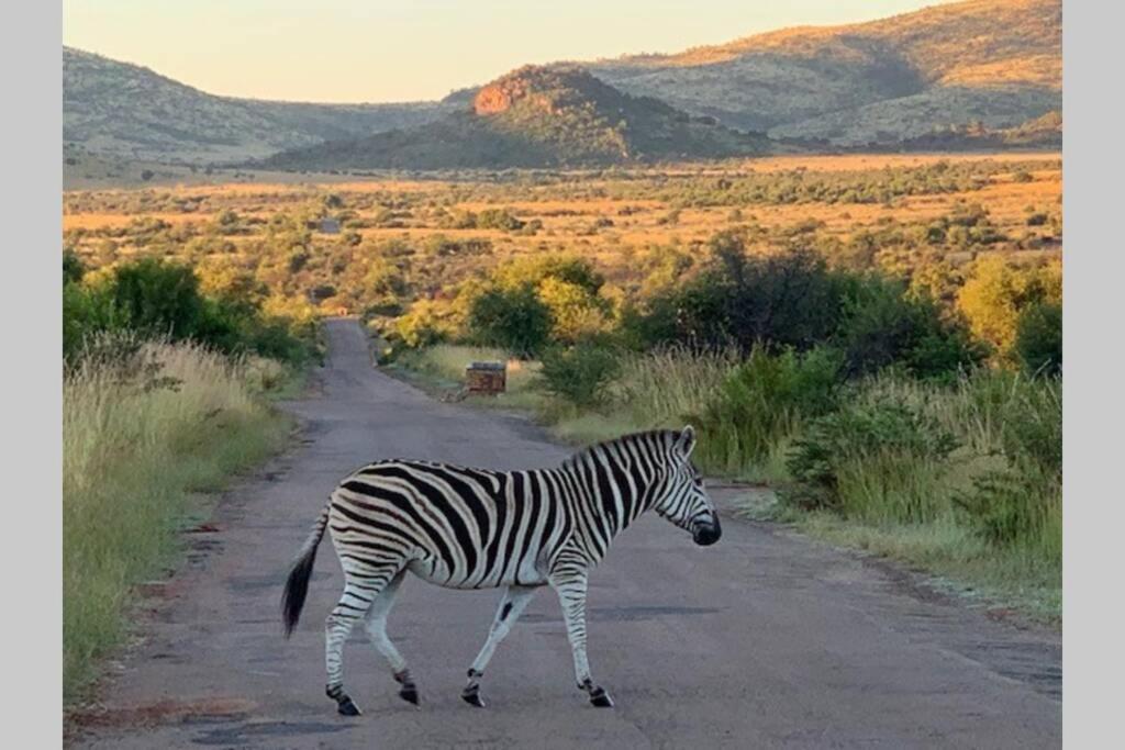 Rhino House With 3 Bedrooms Next To Pilanesberg And Sun City Mogwase Zewnętrze zdjęcie