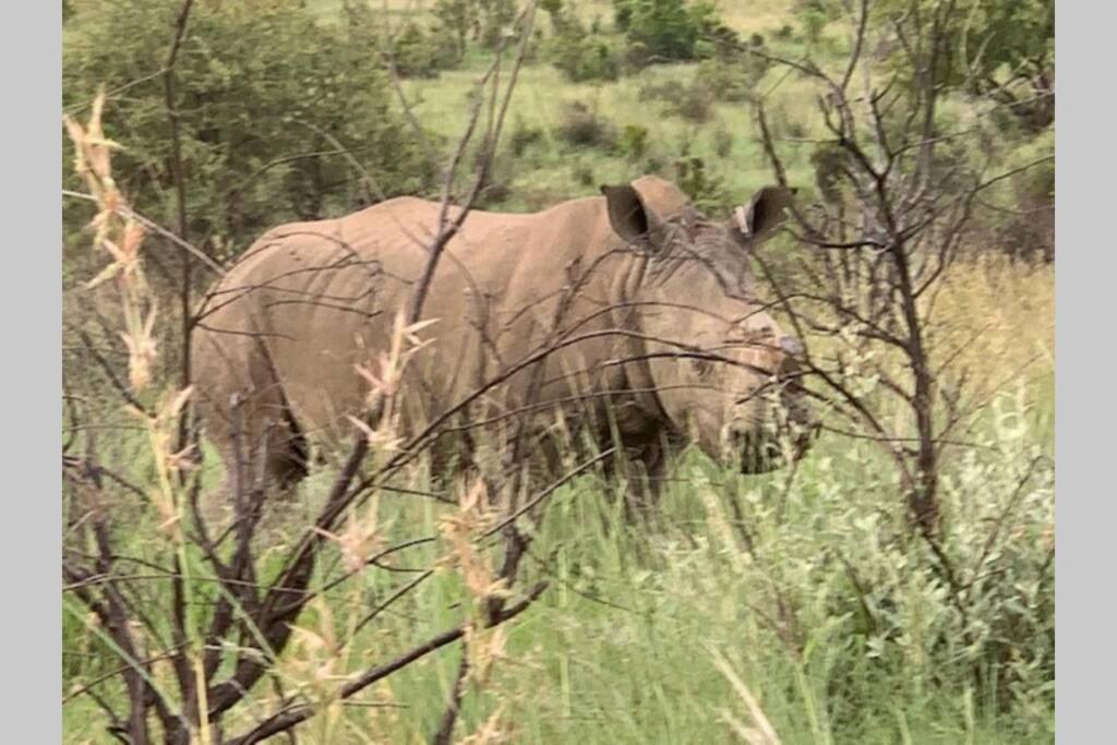 Rhino House With 3 Bedrooms Next To Pilanesberg And Sun City Mogwase Zewnętrze zdjęcie