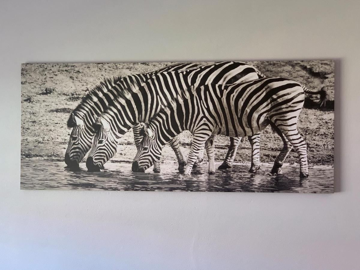 Rhino House With 3 Bedrooms Next To Pilanesberg And Sun City Mogwase Zewnętrze zdjęcie